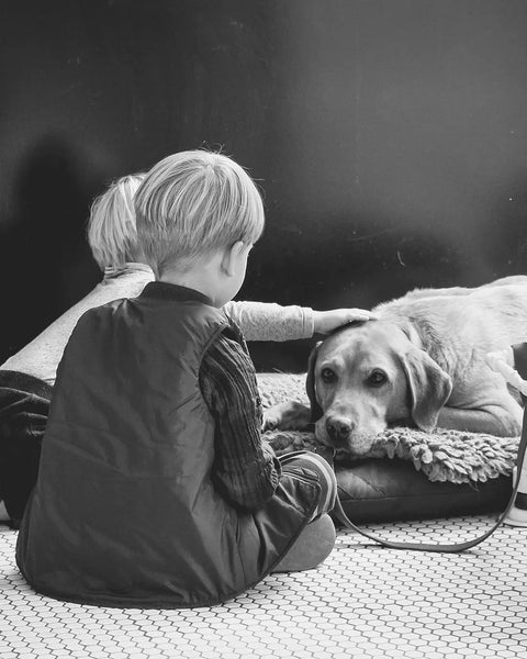 Mejores razas de perro para niños
