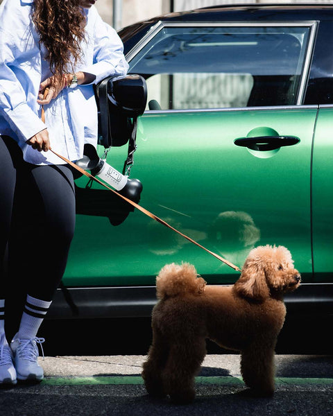 Bebedero Portátil Para Perros - Blanco