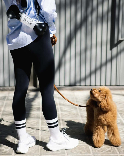 Portable Dog Water Bottle - White